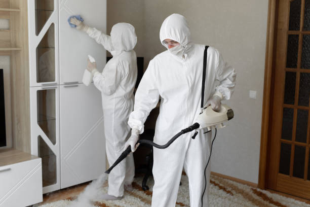 Professional Mold Removal in Harlan, KY